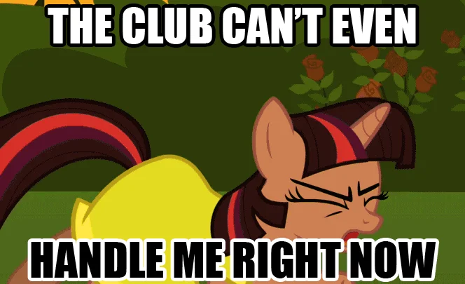 A My Little Pony: Friendship Is Magic variation of the meme from the brony fandom.
