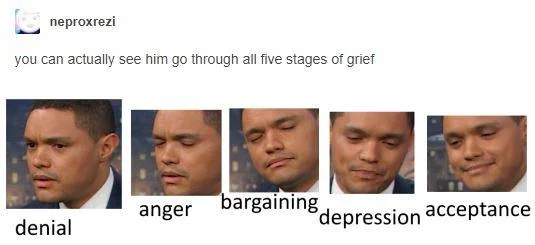 Facial expression reactions to each grief stage.