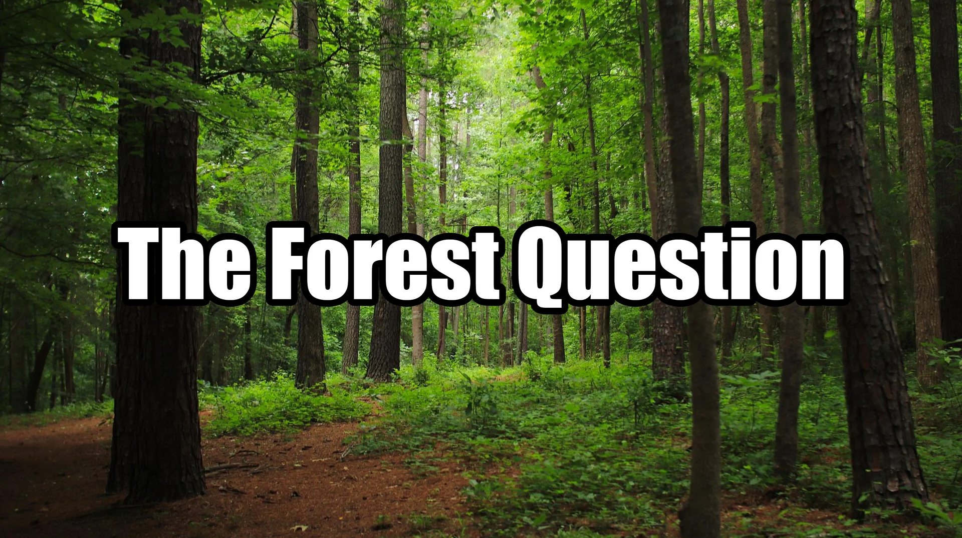 The title card image for 'The Forest Question' meme, featuring a serene woodland scene with the meme's name in bold white lettering.