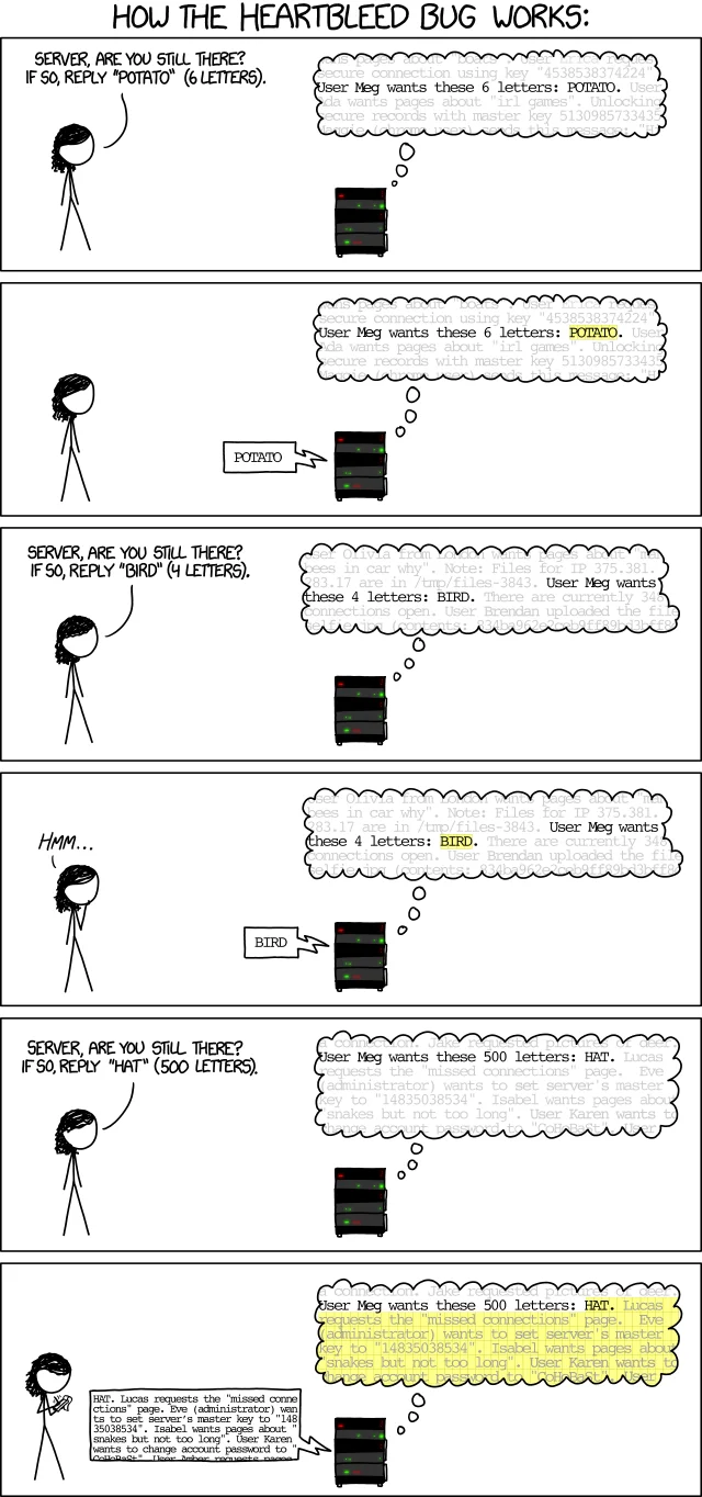 XKCD comic #1354 by Randall Munroe, which famously illustrated how the Heartbleed vulnerability allows attackers to extract sensitive data from server memory.