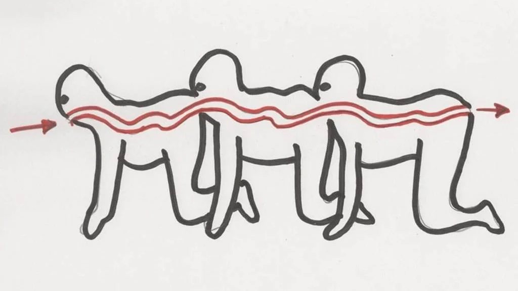 The now-iconic surgical diagram illustrating the mouth-to-anus connection premise from Tom Six's 2009 horror film The Human Centipede.