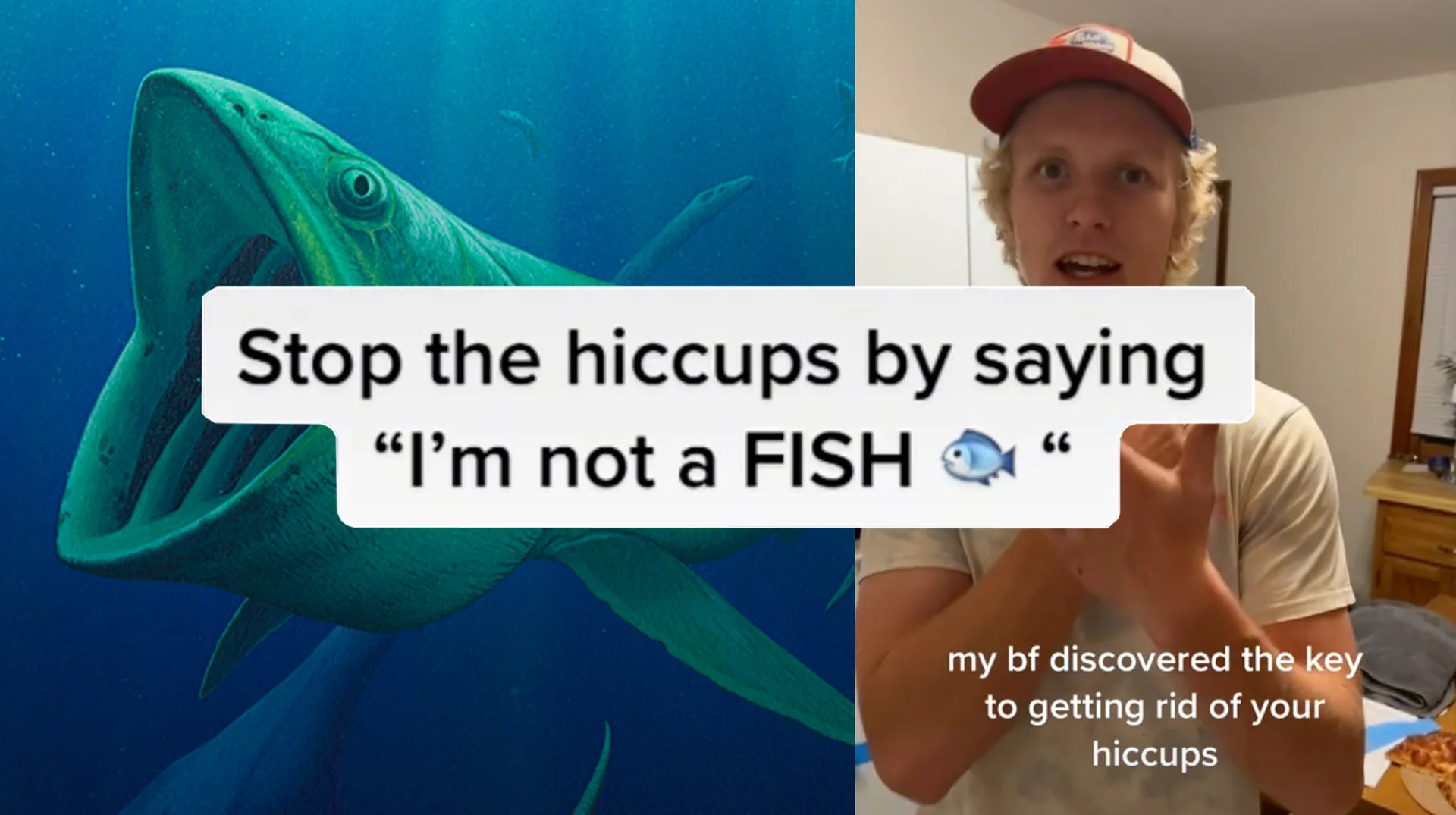 The viral TikTok that popularized the 'I'm not a fish' hiccup cure meme.