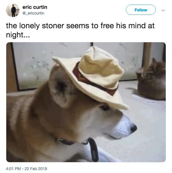 A 2019 tweet applies the lyric to a photo of a Shiba Inu dog in a floppy hat, typical of the meme's absurdist spin-offs.