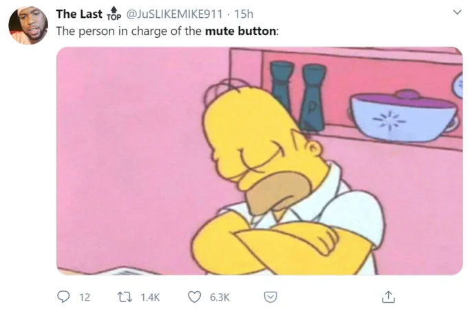 Homer Simpson asleep mute button joke.