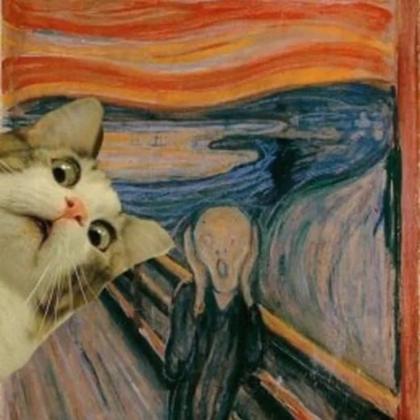 The Scream cat reaction mashup.