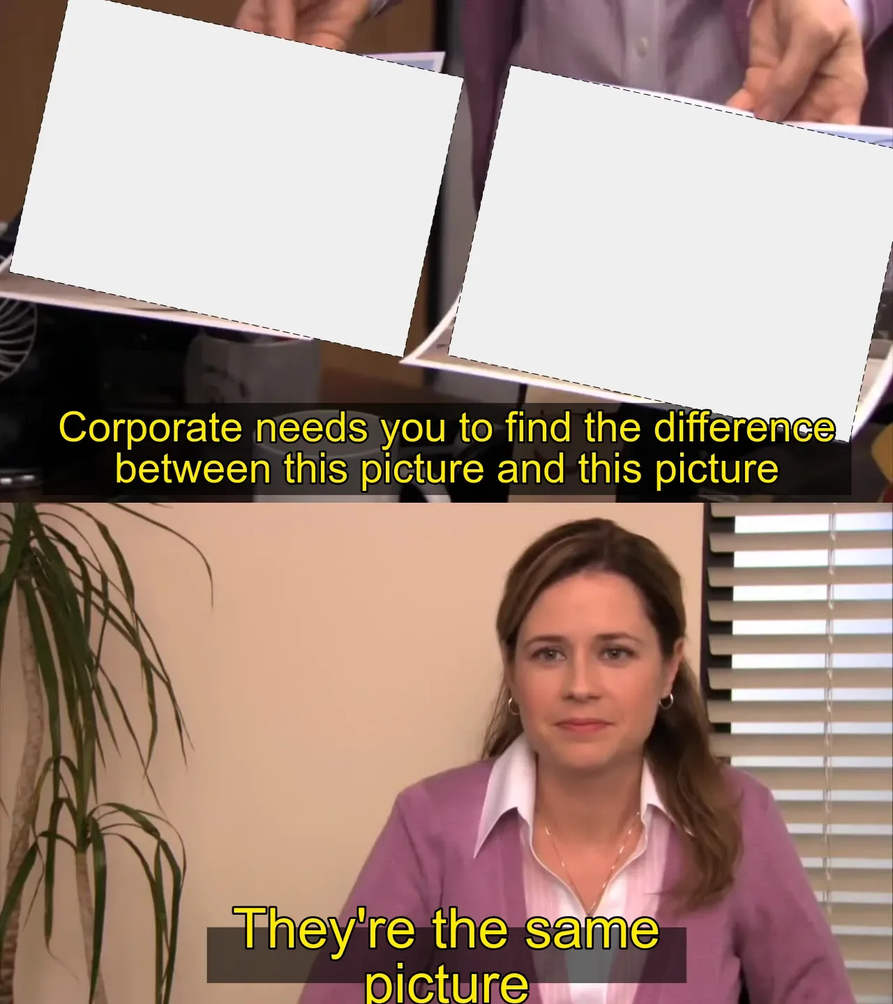 They're the Same Picture