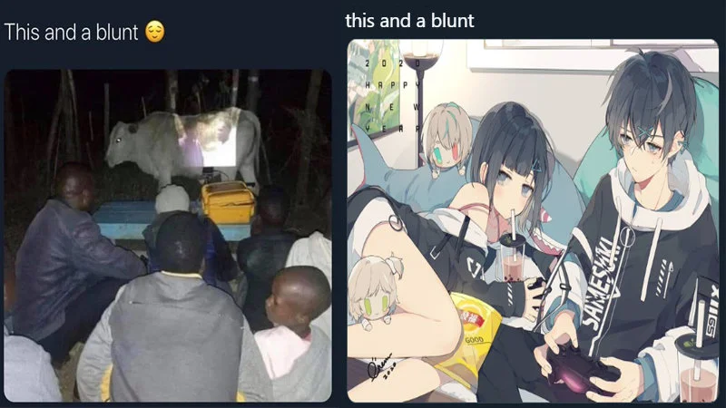 Collage demonstrating format versatility.