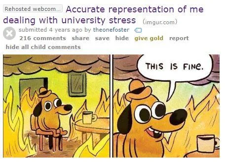 Reddit post about university stress.
