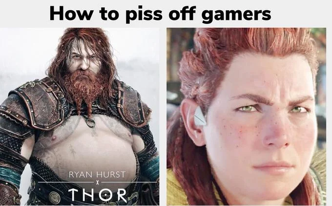 Gamer controversy comparison macro.