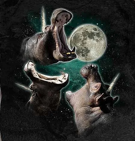 A parody rendition of the Three Wolf Moon design substituting hippopotamuses for wolves.