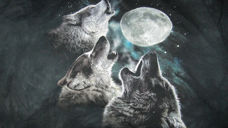 The iconic Three Wolf Moon t-shirt design by The Mountain, featuring three wolves howling at a full moon.