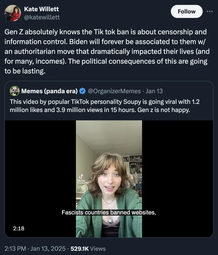 Political censorship analysis commentary.