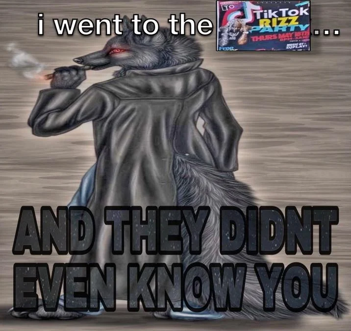 A popular lonely wolf format meme mocking the TikTok Rizz Party flyer's featured artist.