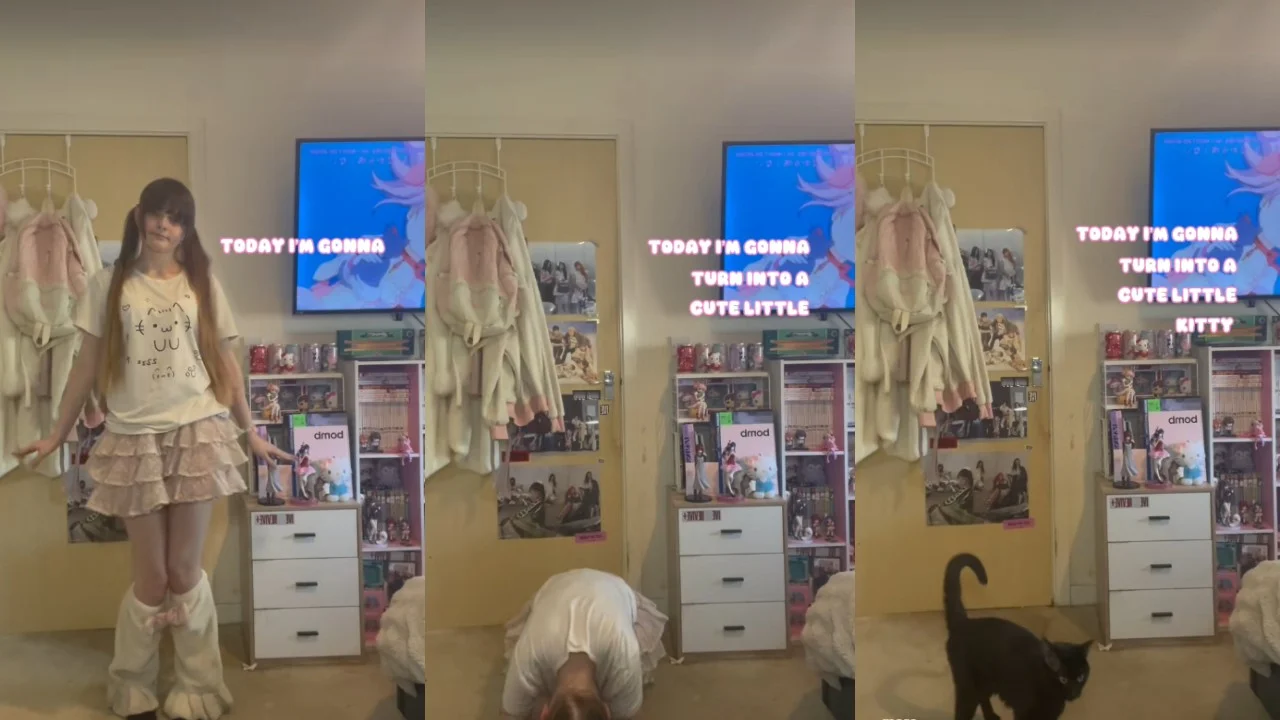 The viral TikTok trend where users pretend to transform into a cute little animal, popularized by a video showing a woman turning into a black kitty.