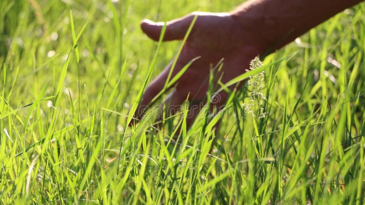 Iconic visual: disconnect and touch nature.