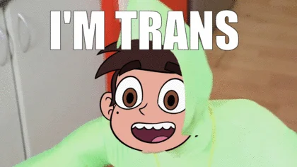 Direct declaration image macro meme.