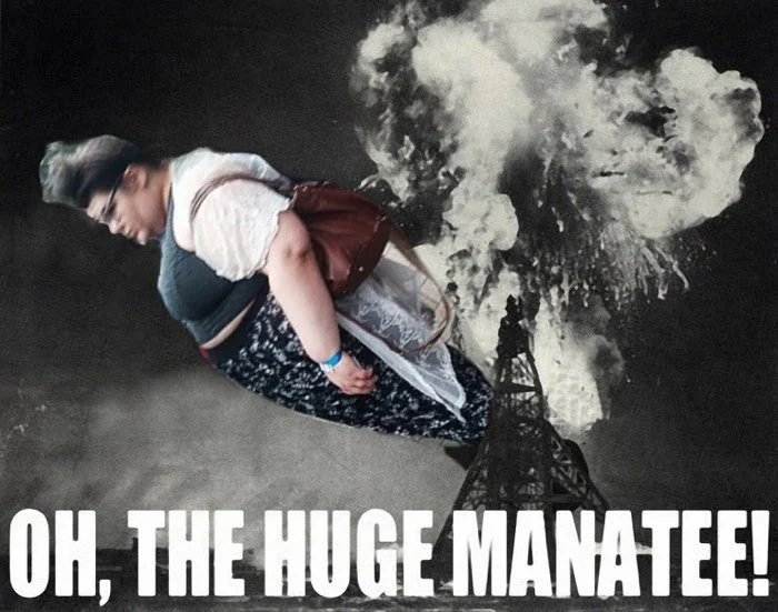 A popular Photoshop variant of the Trigglypuff meme referencing the Hindenburg disaster, titled 'Oh, the Huge Manatee!'