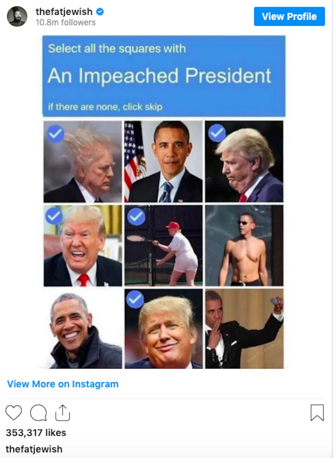 Trump CAPTCHA meme.