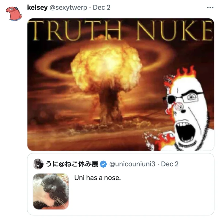 A comedic application of the Truth Nuke format highlighting its adaptability.