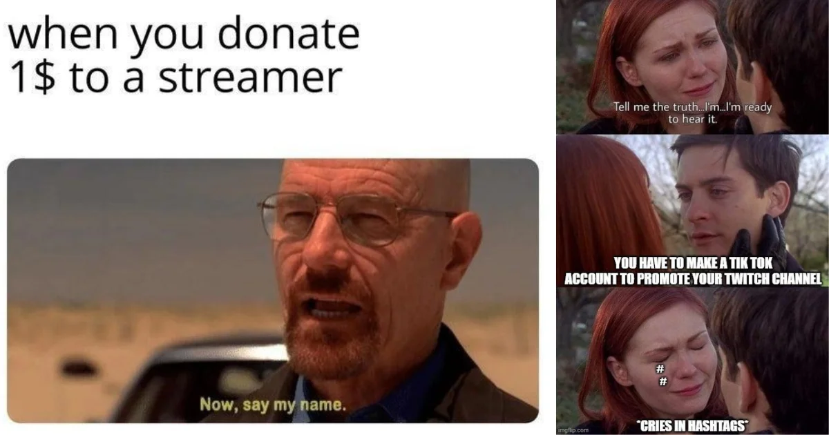 Streamer culture humor about viewer donations.