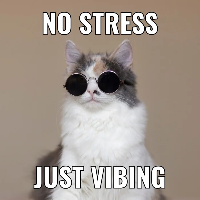 Classic vibing cat meme variation.