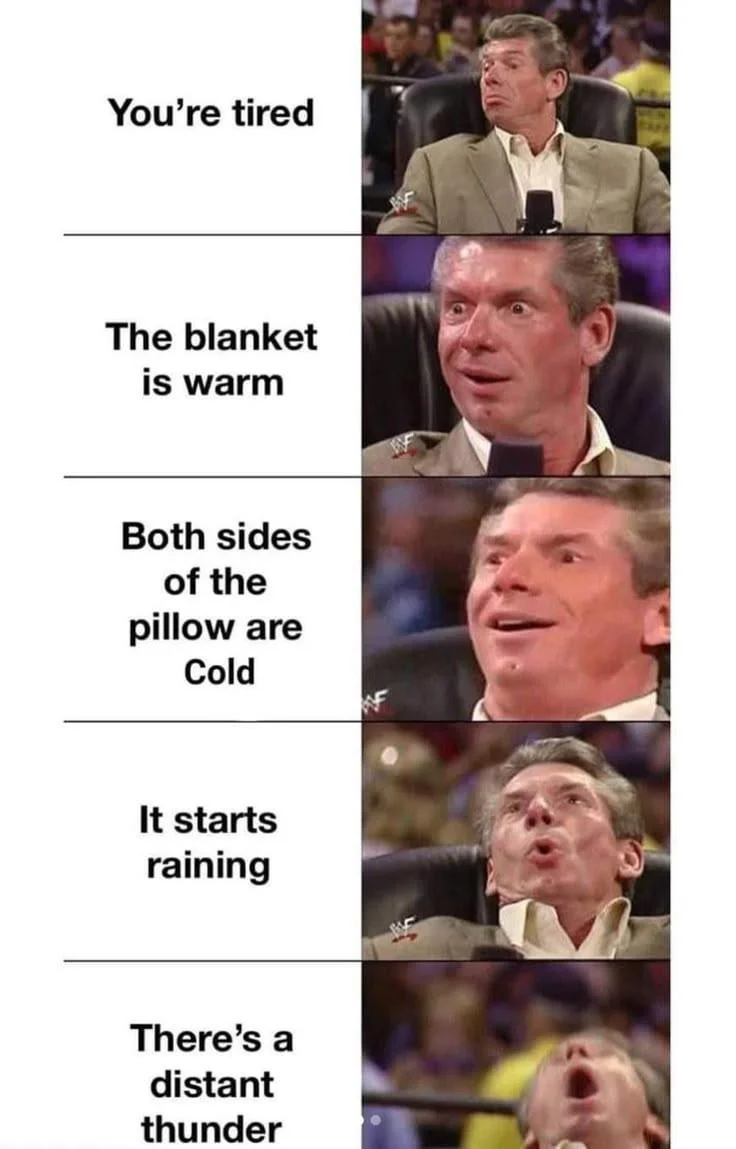 The original WWE broadcast GIF of Vince McMahon's escalating reactions that spawned the meme template.