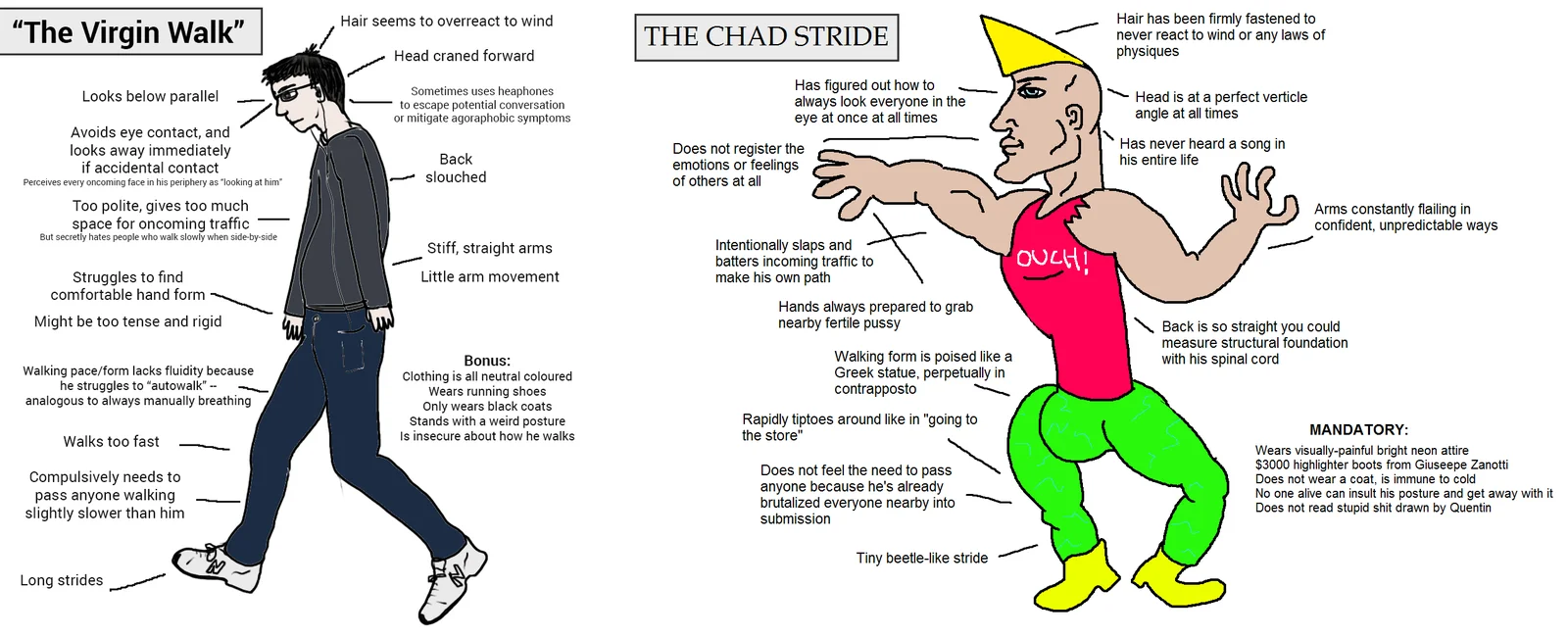 Educational breakdown of meme format.