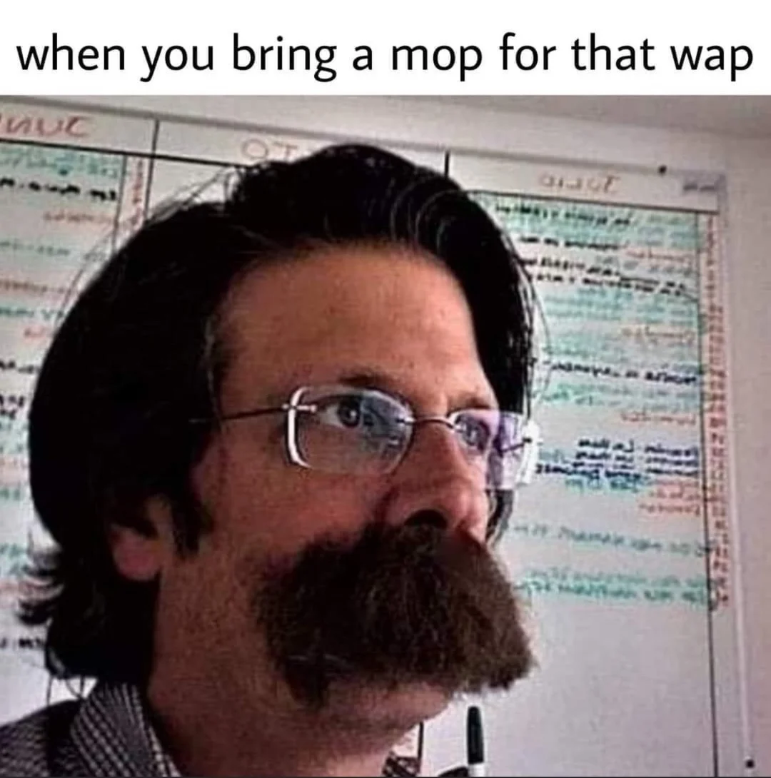 Punny mop and WAP wordplay meme.