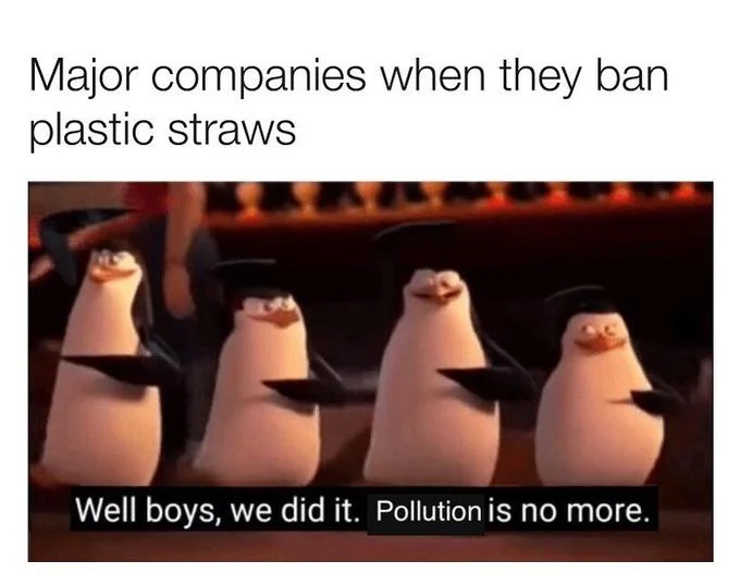 A variant mocking corporate environmentalism efforts, replacing 'Racism' with 'Pollution' in the classic caption.
