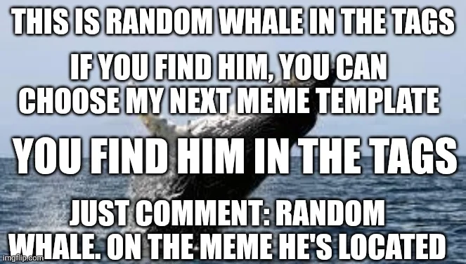 Example of the whale meme
