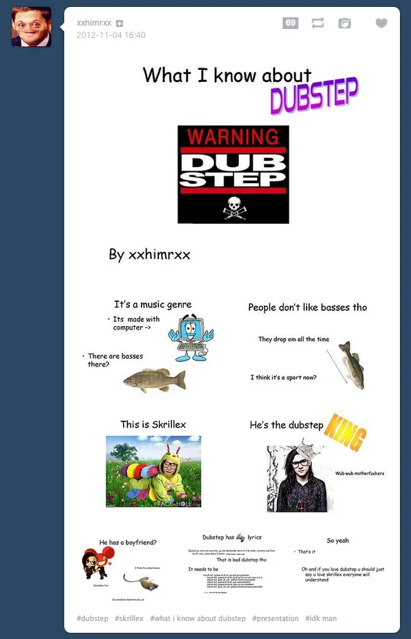 A dubstep music variation featuring Skrillex and common stereotypes about the electronic genre.