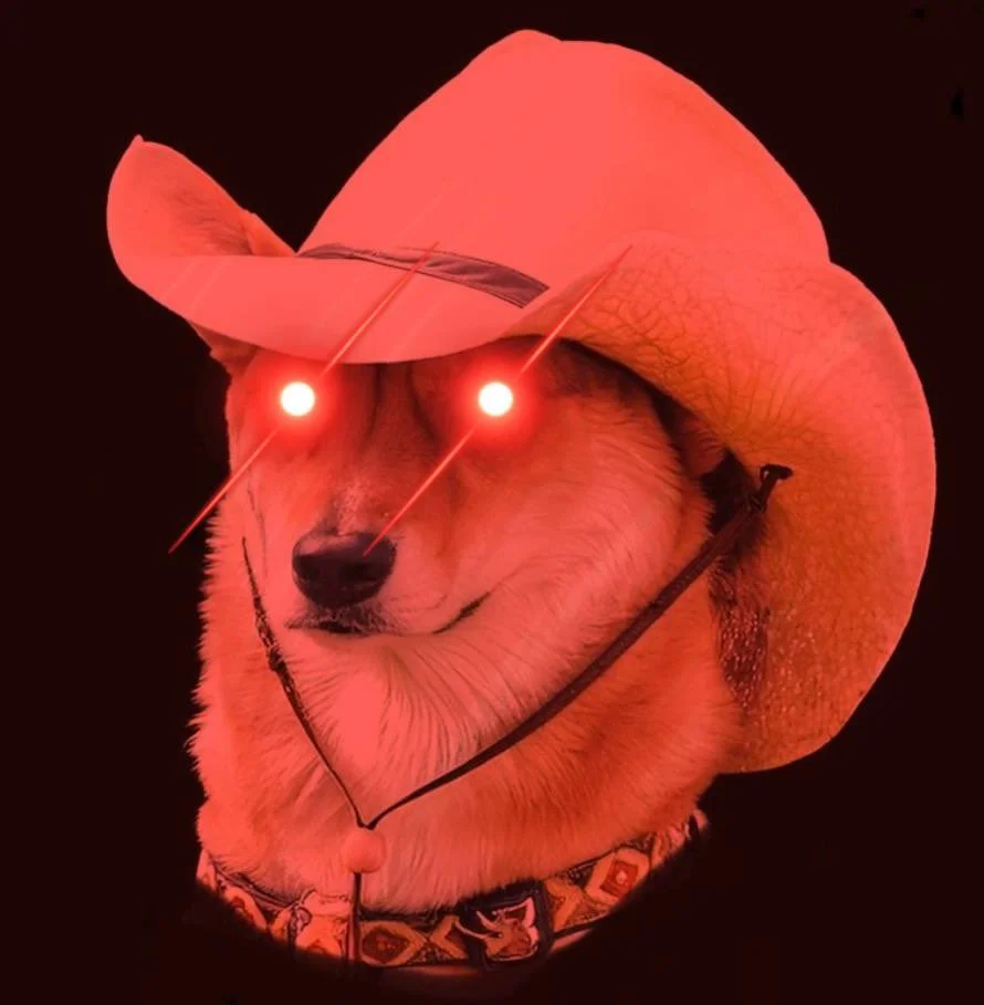What in Tarnation