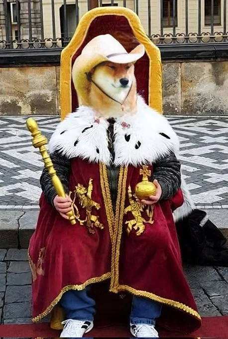 What in Tarnation