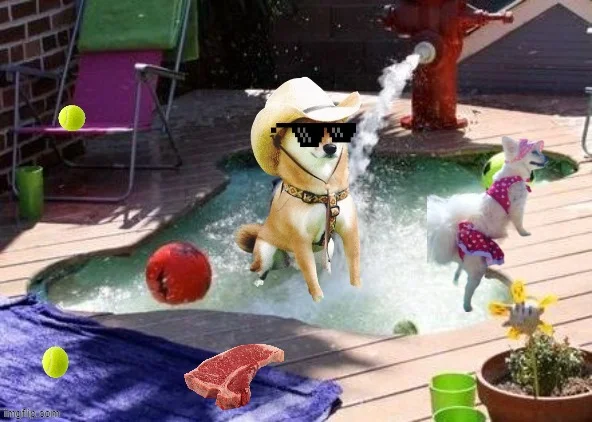 What in Tarnation