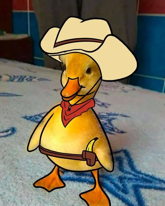 What in Tarnation