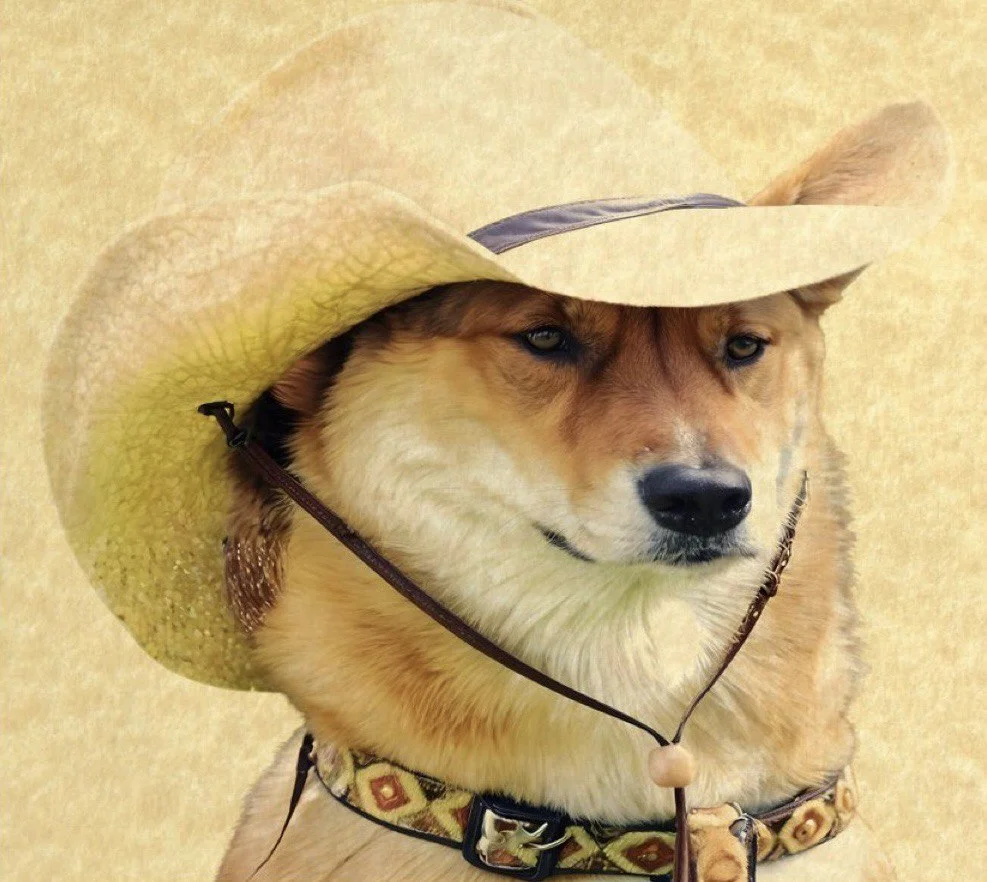 What in Tarnation