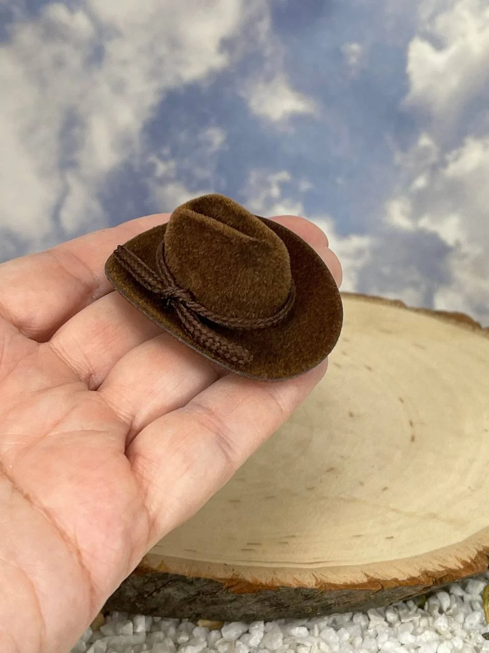 What in Tarnation