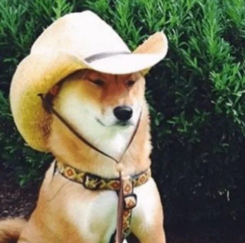 What in Tarnation