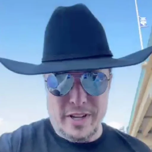 What in Tarnation