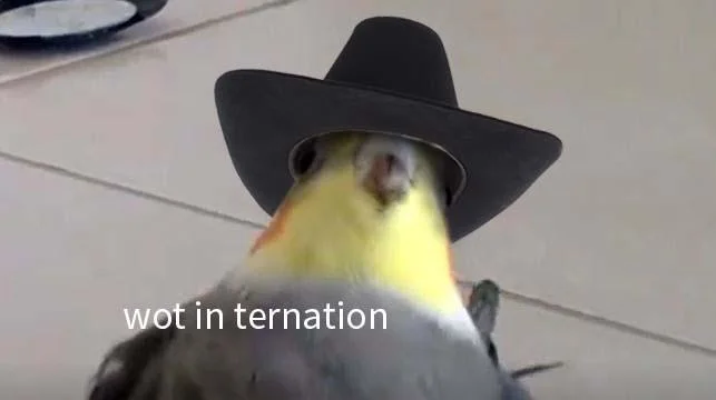 What in Tarnation