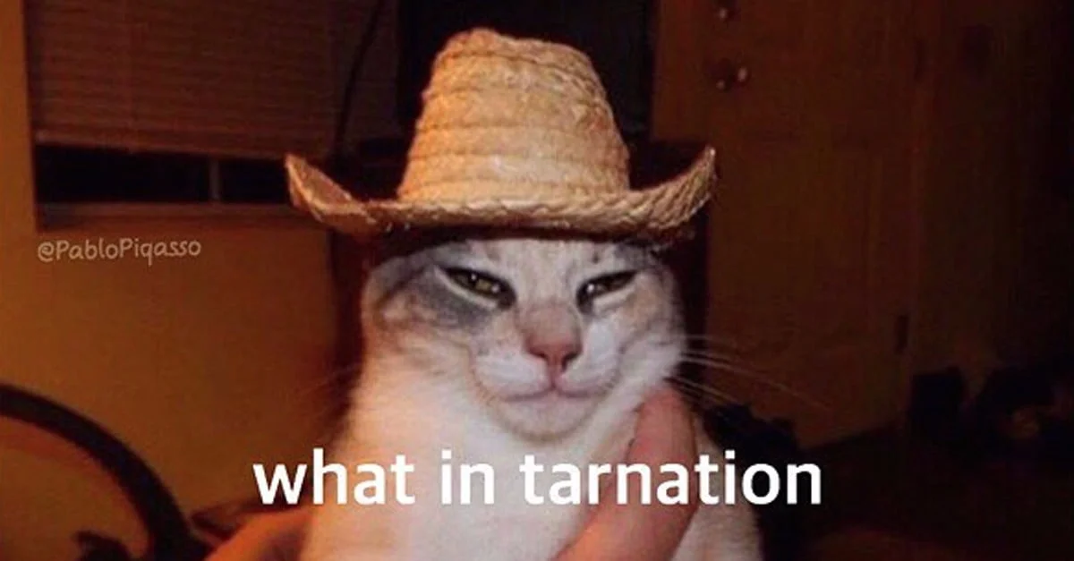What in Tarnation