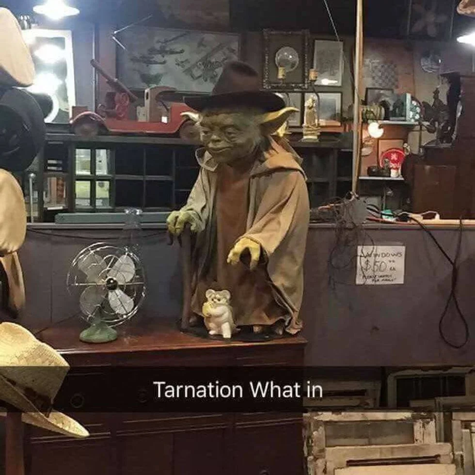 What in Tarnation