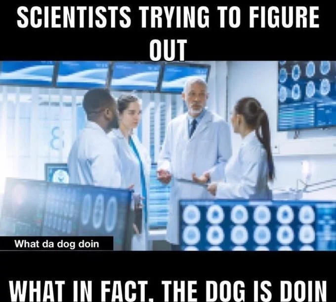 Scientists reaction variant of the meme.