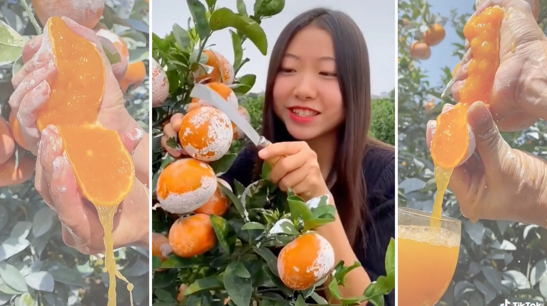 Screenshots from a viral TikTok video showcasing oranges coated in a mysterious white powder, which are then sliced and squeezed to produce vivid orange juice.