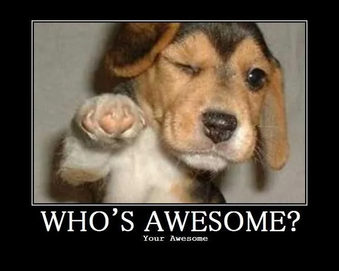 The quintessential English-language motivational poster version of the meme featuring the winking beagle.