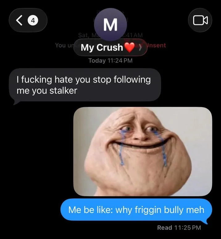 The meme used as a reaction to a harsh rejection text from a crush.