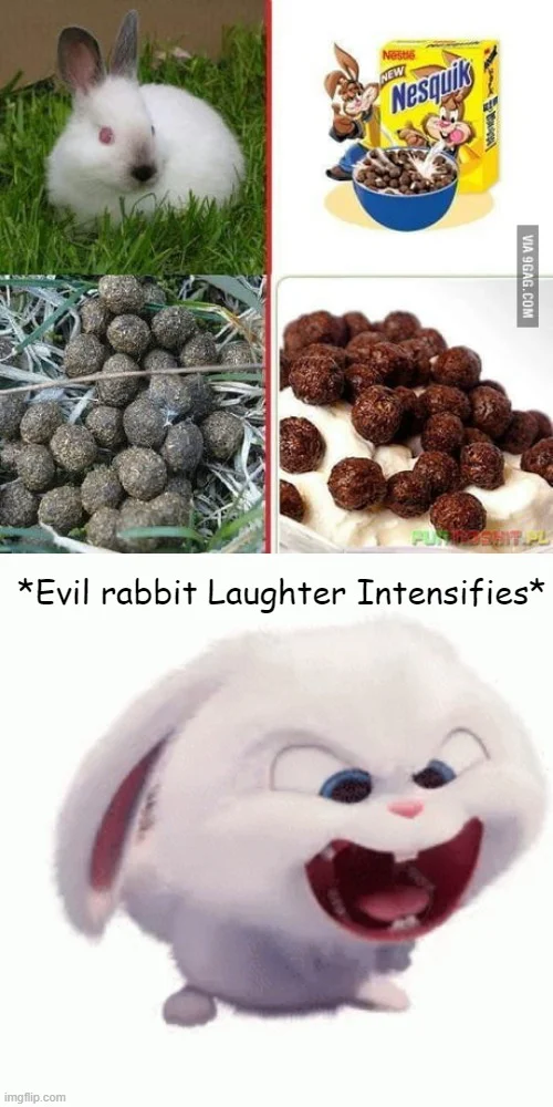 Example of the would meme