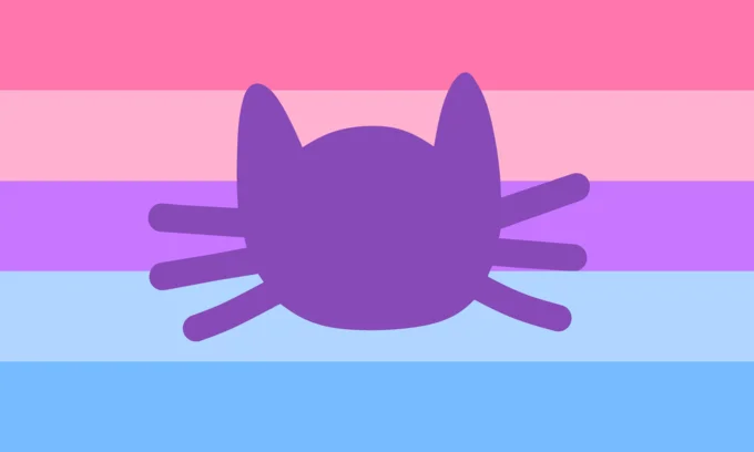A catgender flag, one of the animal-inspired xenogender identities widely shared in online communities.