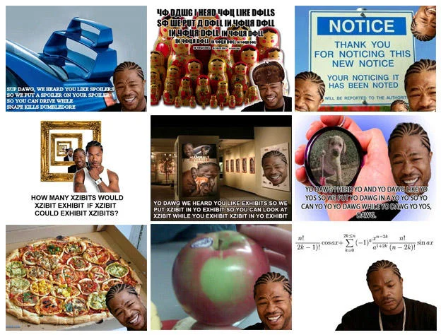 A montage showcasing the wide variety of recursive 'Yo Dawg' Xzibit meme variants that spread across the internet.