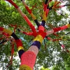 Upward view of yarn-wrapped tree.